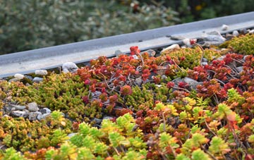 the cost of Woolsthorpe By Colsterworth green roof installation