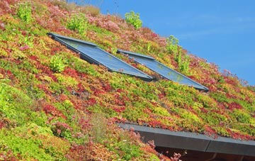 Woolsthorpe By Colsterworth living roof systems