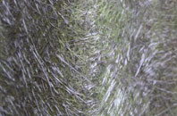 Woolsthorpe By Colsterworth fibreglass roof work